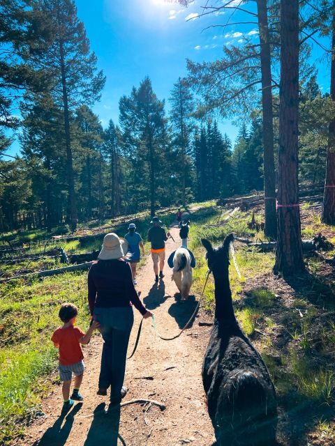 Denver: Llama Hike in the Rocky Mountains - Denver: Llama Hike in the Rocky Mountains – A Practical and Authentic Adventure
