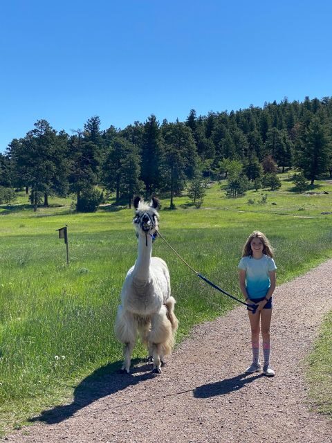 Denver: Llama Hike in the Rocky Mountains - FAQ