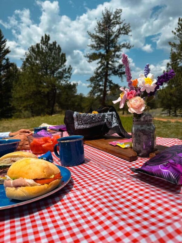 Denver: Llama Lunch in the Rocky Mountains - Key Points