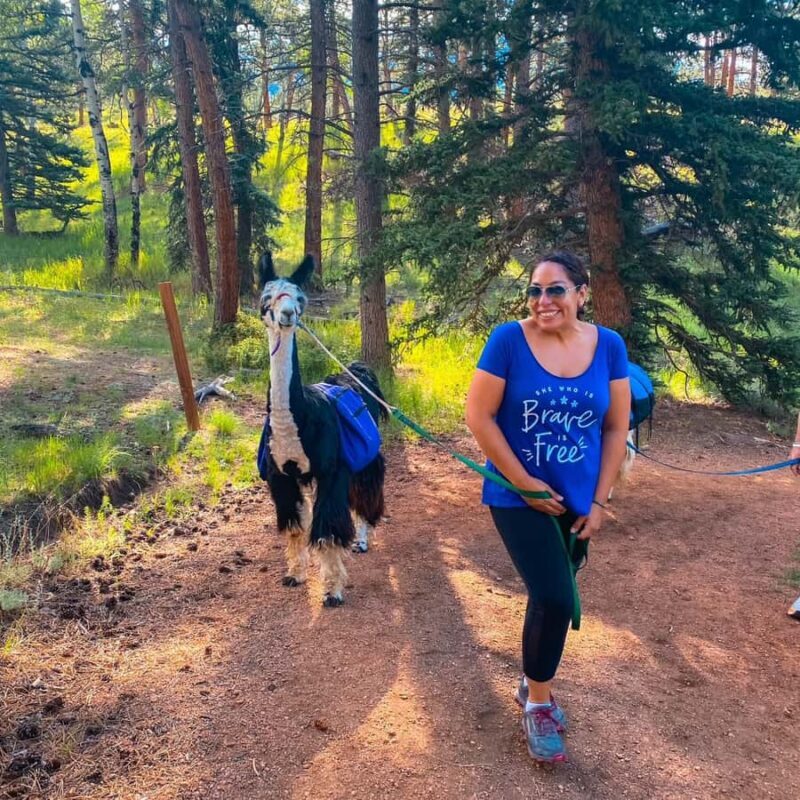 Denver: Llama Lunch in the Rocky Mountains - Who Should Consider This Experience?