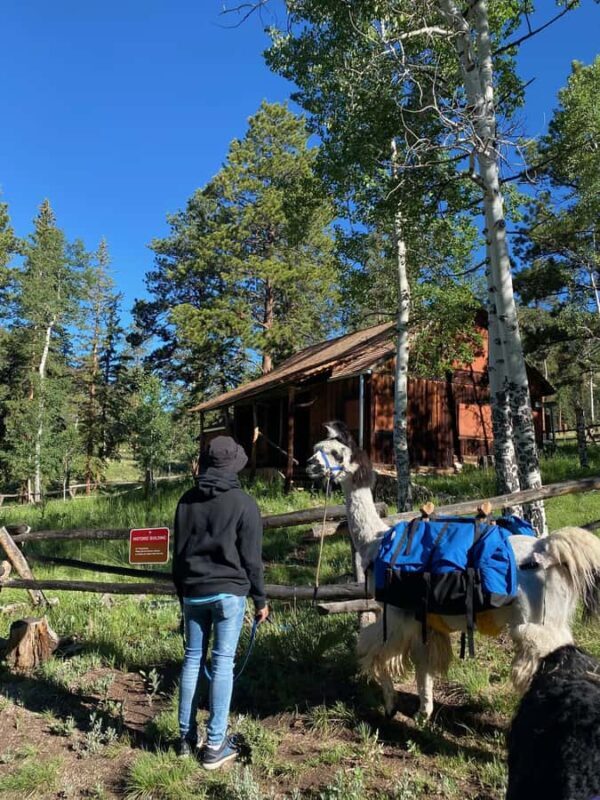 Denver: Llama Lunch in the Rocky Mountains - Final Thoughts