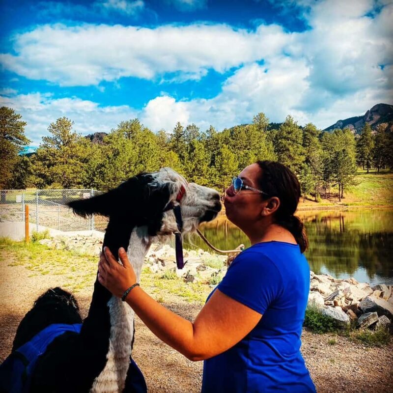 Denver: Llama Lunch in the Rocky Mountains - FAQ