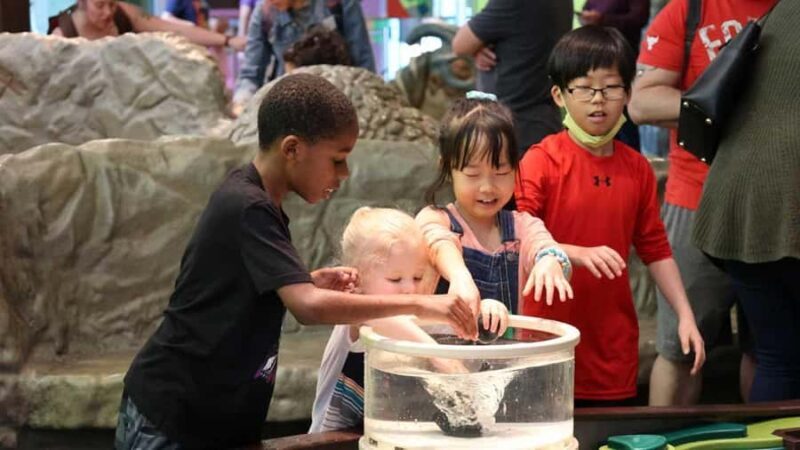 Denver: Museum of Nature and Science Entry Ticket - What Makes the Denver Museum of Nature and Science Special?