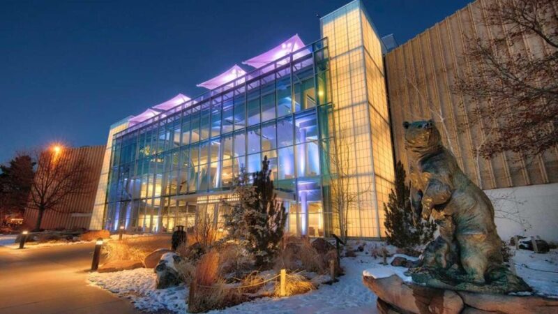 Denver: Museum of Nature and Science Entry Ticket - Who Will Love This Museum?