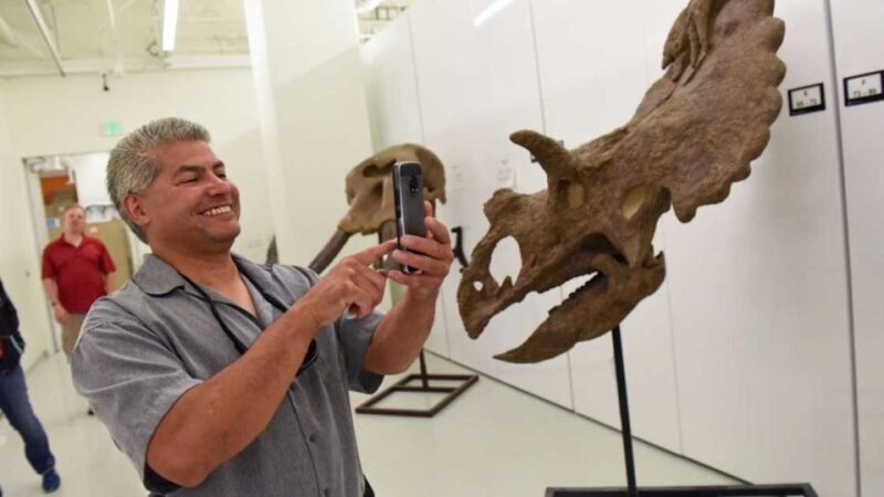 Denver: Museum of Nature and Science Entry Ticket - An In-Depth Look at the Denver Museum of Nature and Science