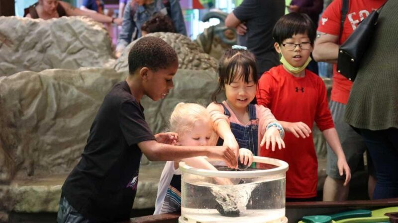 Denver: Museum of Nature and Science Entry Ticket - FAQ