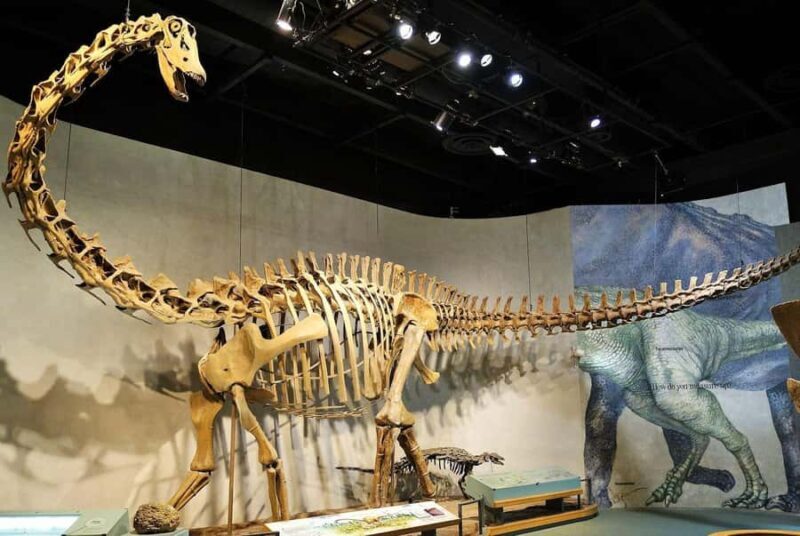 Denver: Museum of Nature and Science Ticket & Digital Tour - Exploring the Denver Museum of Nature & Science