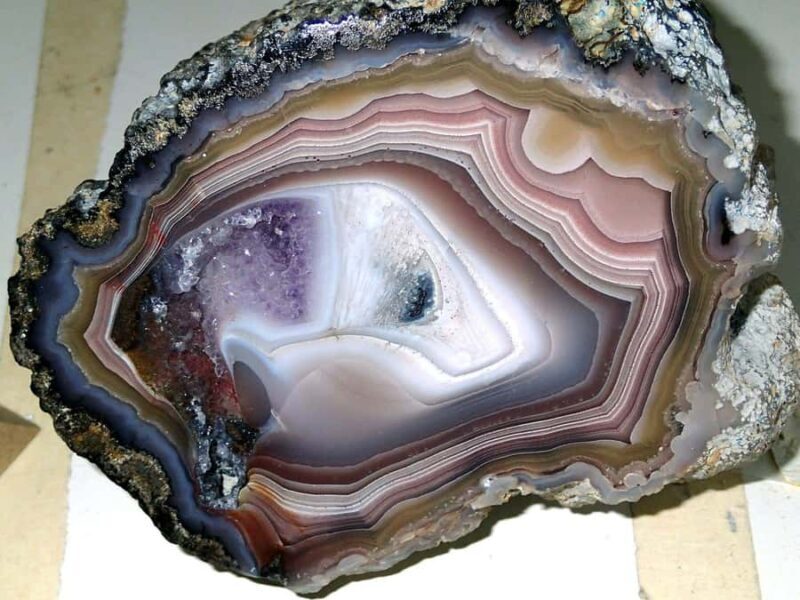 Denver: Museum of Nature and Science Ticket & Digital Tour - Who Will Love This Experience?