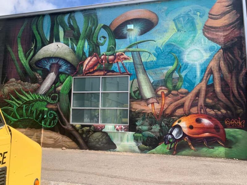 Denver: North RiNo Art District Graffiti and Street Art Tour - Who Will Love This Tour?