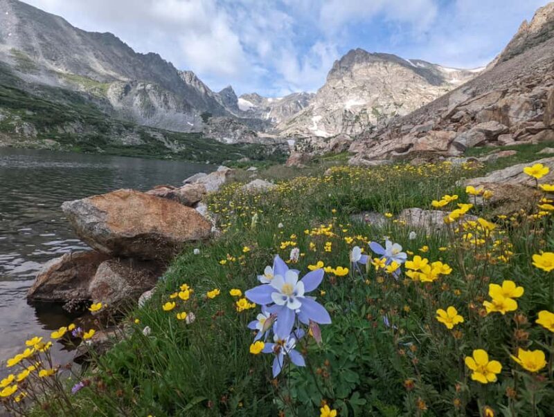 Denver: Private Rocky Mountain National Park Wildlife Tour - What Makes This Tour a Great Value?