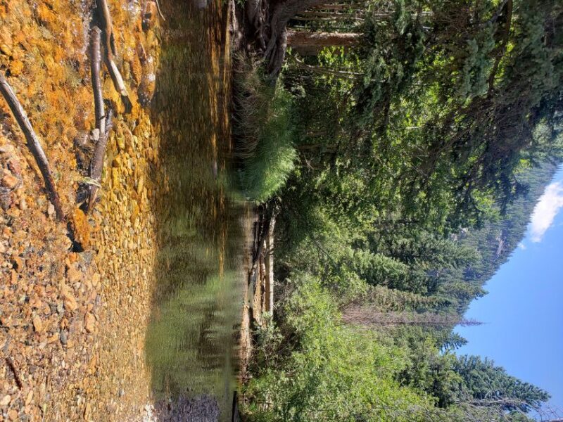 Denver: Rocky Mountain National Park Tour with Picnic Lunch - Key Points