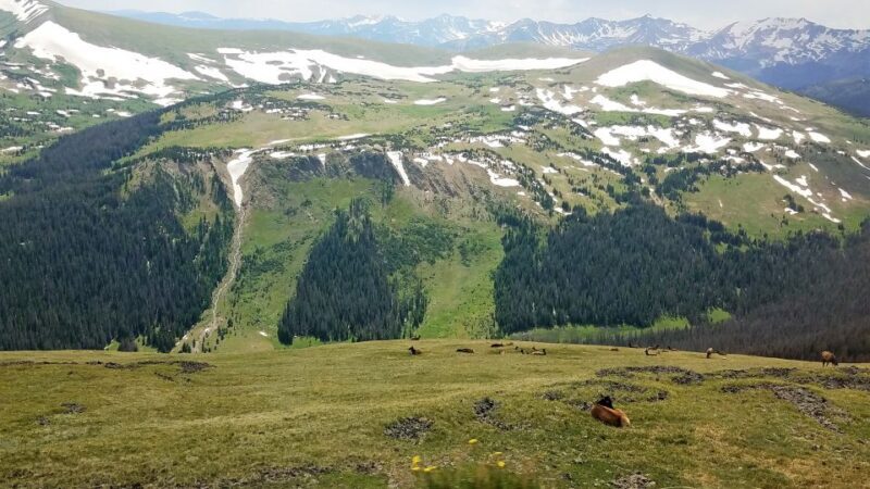 Denver: Rocky Mountain National Park Tour with Picnic Lunch - Final Thoughts