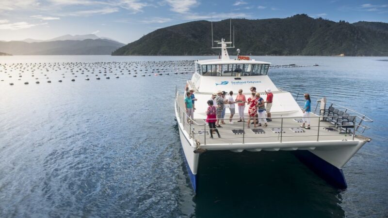 Depart Picton: Marlborough Sounds Afternoon Seafood Cruise - FAQs
