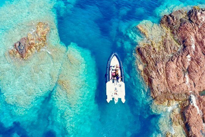 Depart Saint Raphaël: Meet the Dolphins - An In-Depth Look at the Experience