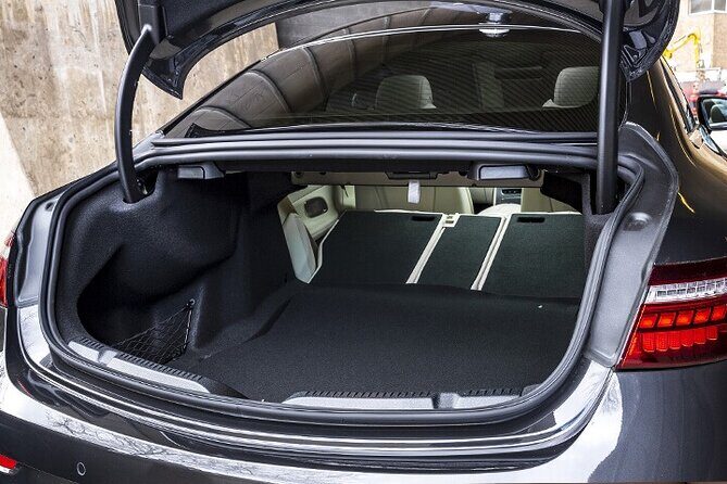 Departure Private Transfer: Amsterdam City to Amsterdam Port by Business Car - Who Should Consider This Service?