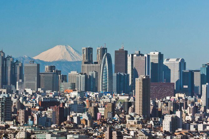 Departure Private Transfer: Tokyo to Haneda Airport HND in Van - Who is This Transfer Best For?