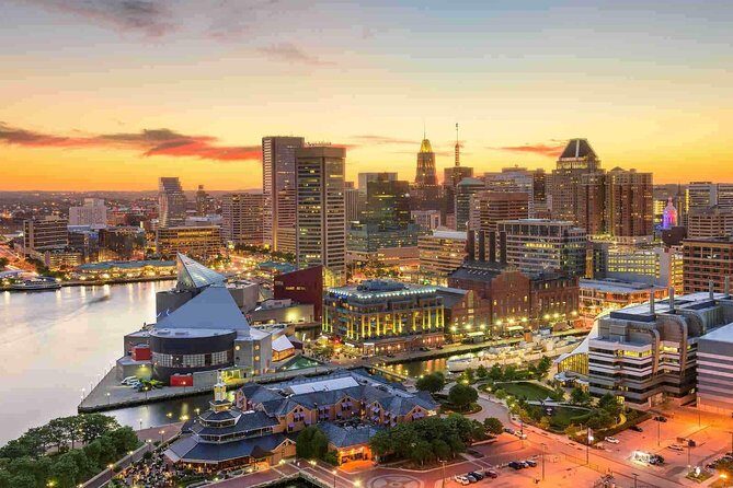 Departure Transfer: Washington to Airport BWI by Business Car - The Vehicle and Comfort