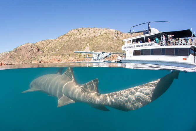 Derby to Horizontal Falls Half Day Adventure - An In-Depth Look at the Tour Itinerary