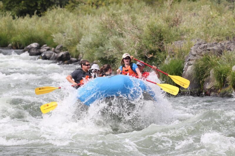 Deschutes River Half Day trips - Key Points