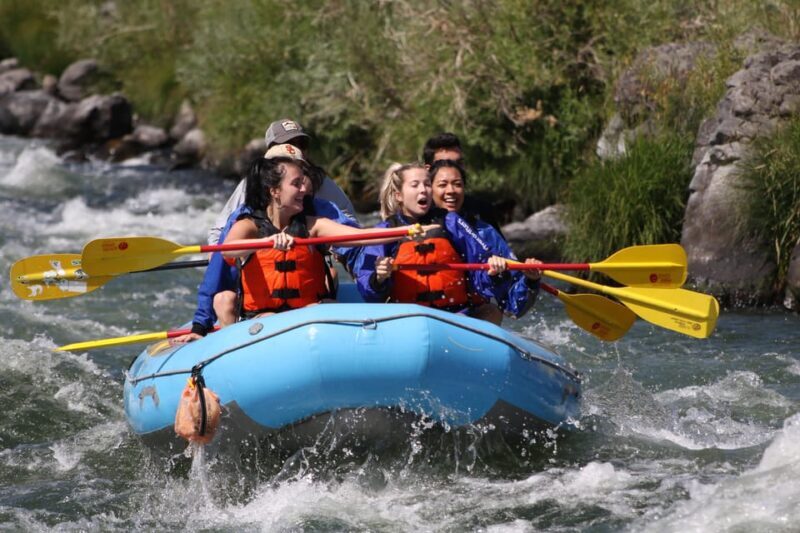 Deschutes River Half Day trips - The Experience: Why It Works and Who Should Try It
