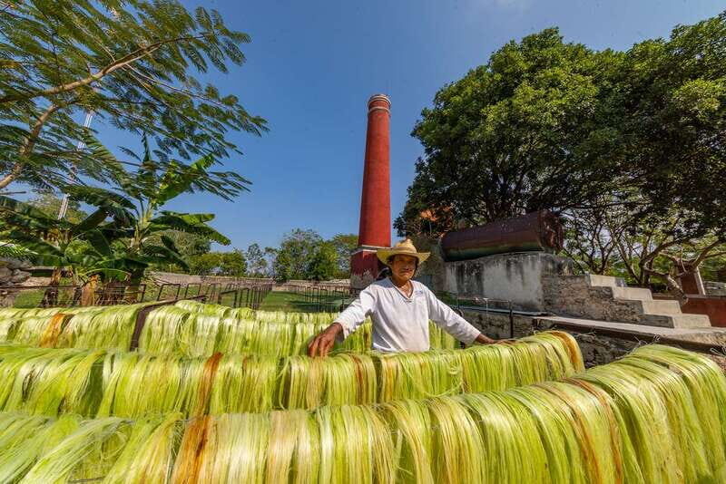 Desde Mérida: Haciendas de Yucatán - Who Will Find This Tour Especially Valuable?