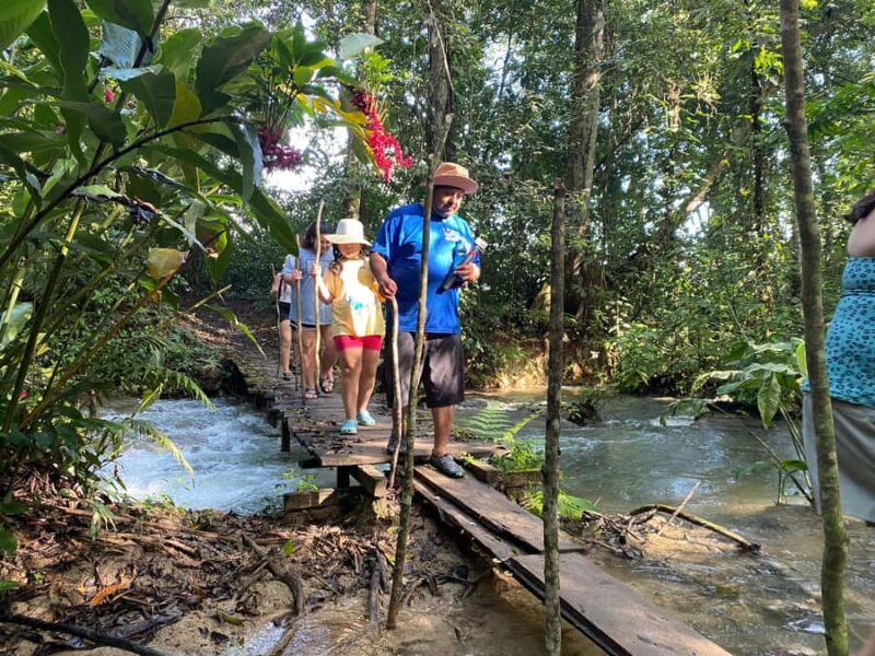 Desde Palenque: Rafting, Caminata en Selva Y Bonampak - Practical Tips