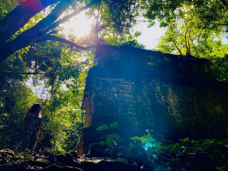 Desde Palenque: Rafting, Caminata en Selva Y Bonampak - Who Should Consider This Tour?