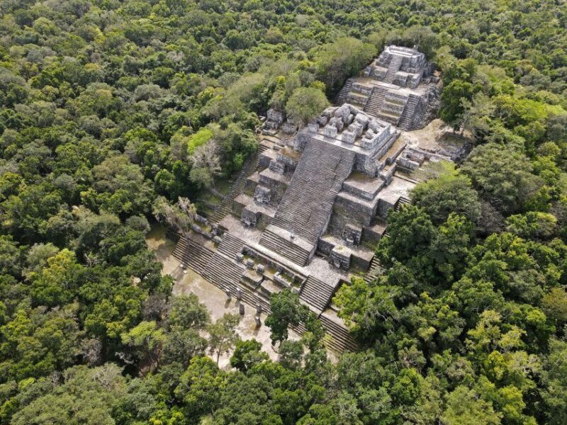 Desde Palenque: Zona Arqueológica Calakmul - Key Points