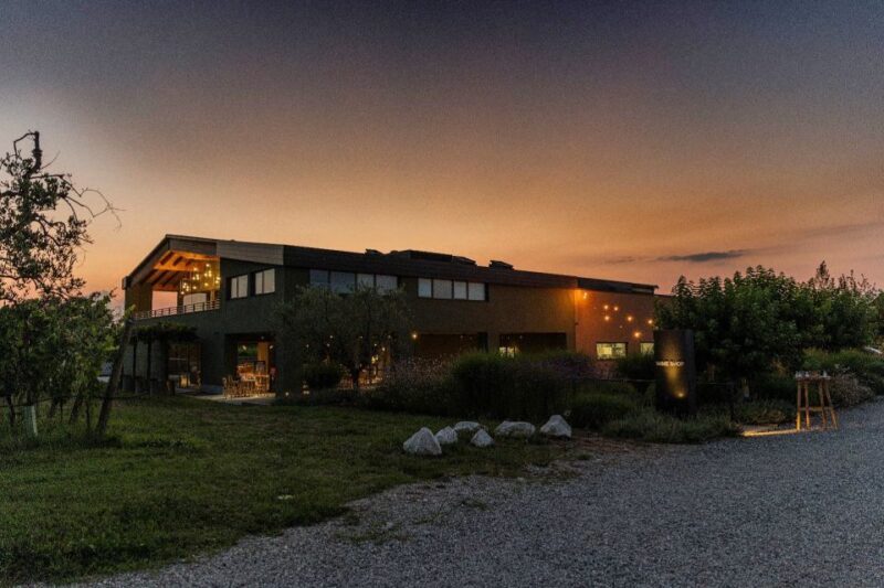 Desenzano: Lugana Wine-Tasting and Vineyard Tour - The Price and Value