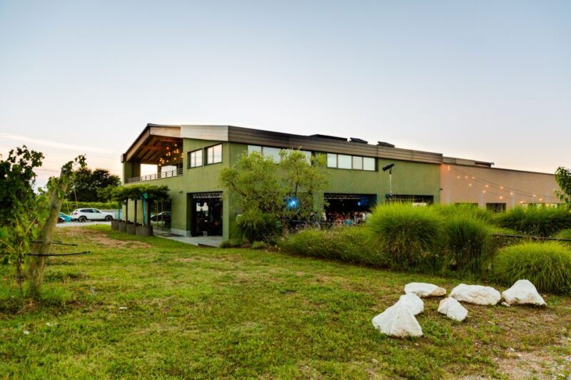 Desenzano: Lugana Wine-Tasting and Vineyard Tour - Final Thoughts