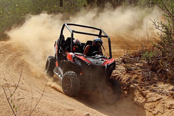 Desert and Beach Buggies Tour - Authentic Experiences and Reviewer Insights