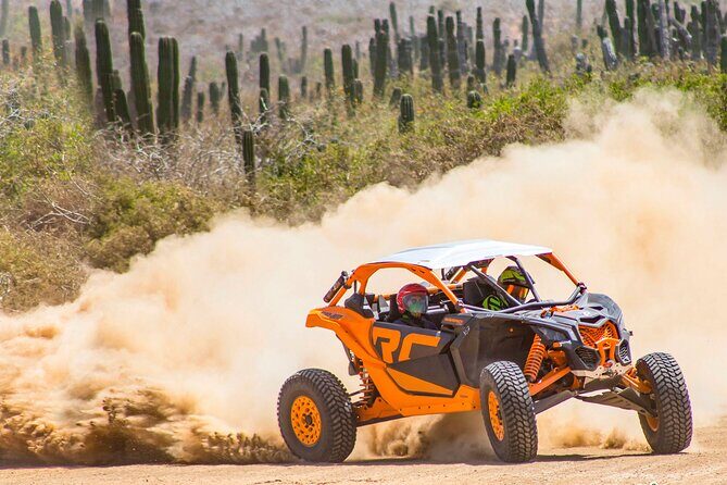 Desert and Beach Off Road Tour in Cabo San Lucas - What Sets This Tour Apart?