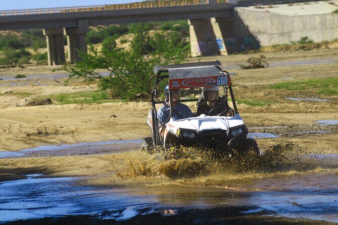 Desert and Beach UTV Adventure with Tequila Tasting - Who Will Appreciate This Tour?