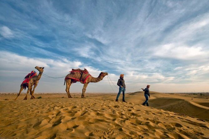 Desert Camel Safari Day Tour In Jodhpur - An in-depth look at the itinerary and what it means for you