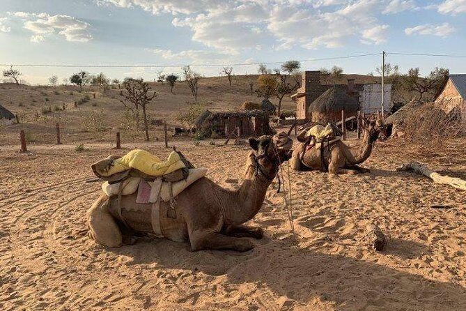 Desert Camel Safari Day Tour In Jodhpur - FAQ