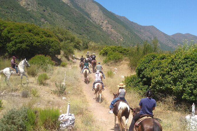 Desert Peaks on Horseback, Exploring Mountain Trails of Ensenada - Setting the Scene: What’s the Experience Like?