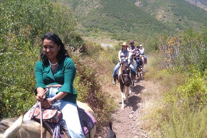 Desert Peaks on Horseback, Exploring Mountain Trails of Ensenada - Encounters with Animals and Nature
