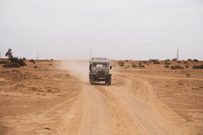 Desert Safari Tour Package - What Reviewers Love Most