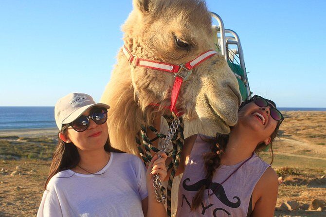 Desert & sea, Camel Safari tour in Los Cabos with lunch - What to Expect from the Camel Safari Tour