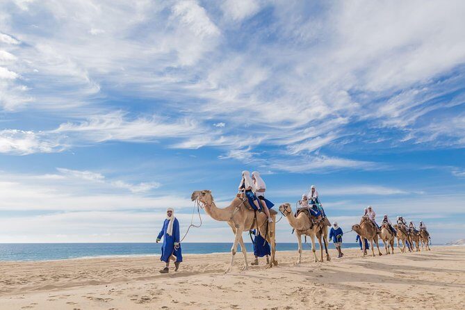 Desert & sea, Camel Safari tour in Los Cabos with lunch - Who Should Consider This Tour?