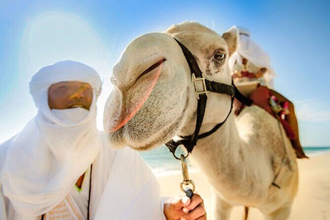 Desert & sea, Camel Safari tour in Los Cabos with lunch - Frequently Asked Questions (FAQs)