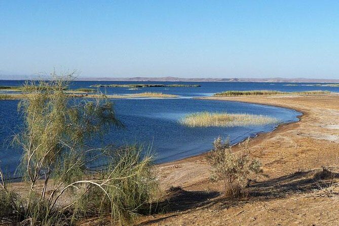 Desert Yurt Camp tour - 2 days (shared) - Food and Hospitality
