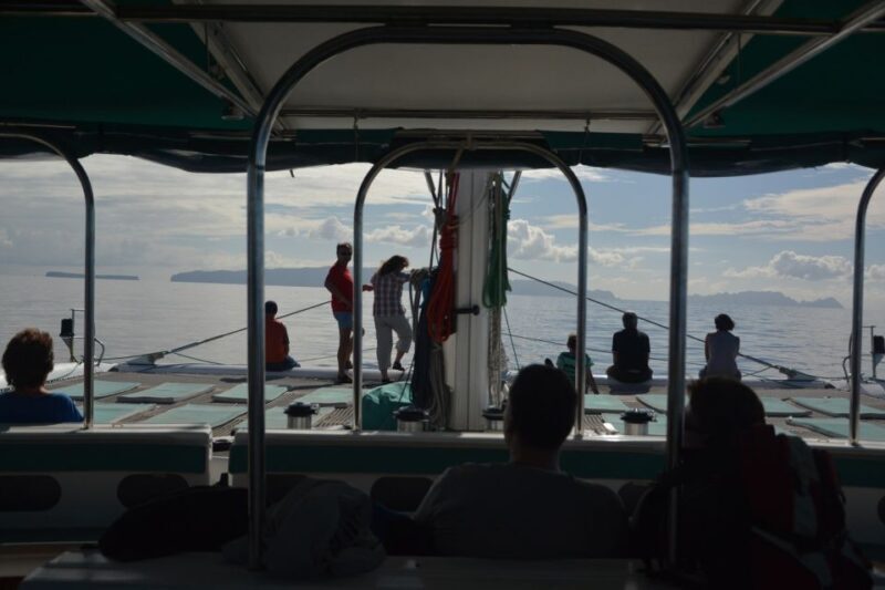 Desertas Islands Full-Day Catamaran Trip from Funchal - Authentic Insights from Past Travelers