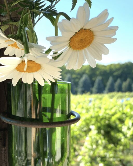 Designated Driver For Wine Tours - Traverse City - Pricing & Value