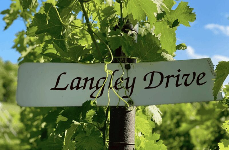 Designated Driver For Wine Tours - Traverse City - The Sum Up