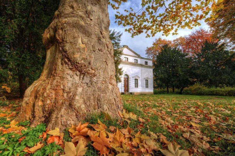 Dessau: In the footsteps of Paul Klee - Final Thoughts