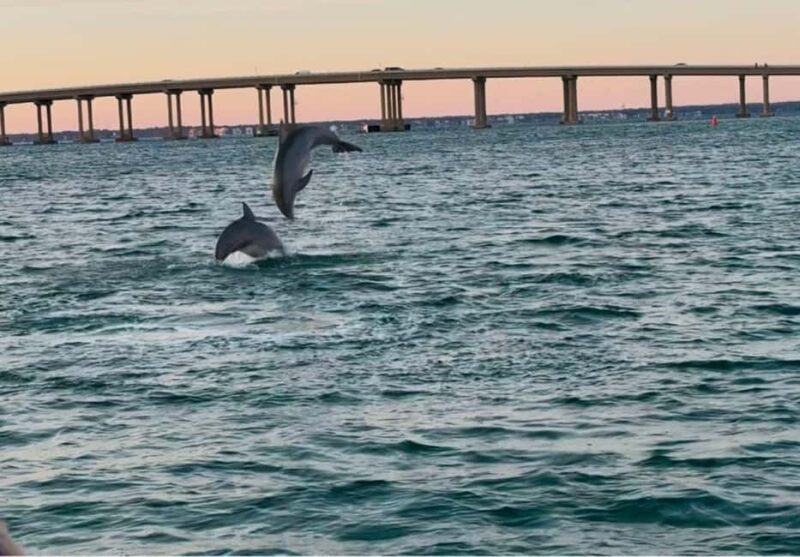 Destin: 90-Minute Boat Ride With Cruise Destin Bay - The Experience in Detail