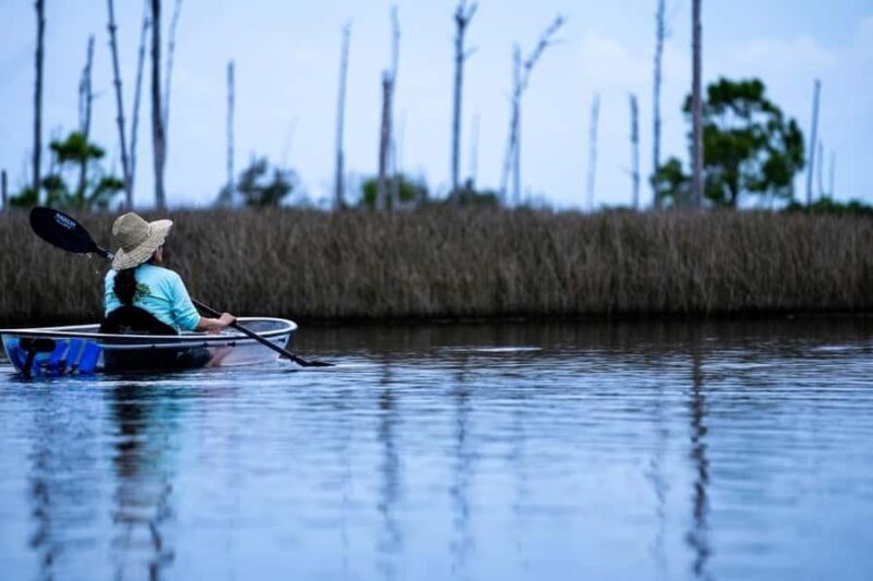 Destin: Clear Kayak Eco Tour with Island Stops - Final Thoughts
