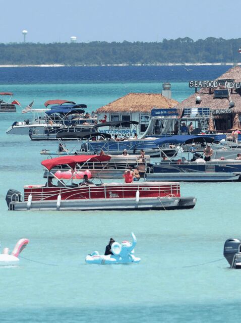 Destin: Crab Island Catamaran Tour with Dolphin Watching - What You Can Expect from This Tour