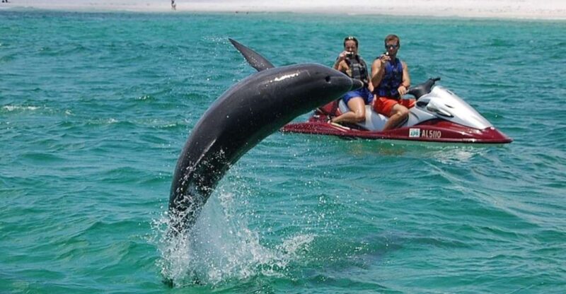 Destin: Crab Island Dolphin Watching Jet Ski Tour - The Experience in Detail